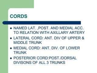 CORDS
 NAMED LAT. ,POST. AND MEDIAL ACC.
TO RELATION WITH AXILLARY ARTERY
 LATERAL CORD: ANT. DIV OF UPPER &
MIDDLE TRUNK
 MEDIAL CORD: ANT. DIV. OF LOWER
TRUNK
 POSTERIOR CORD:POST./DORSAL
DIVISONS OF ALL 3 TRUNKS
 
