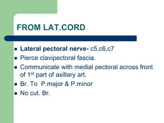 FROM LAT.CORD
 Lateral pectoral nerve- c5,c6,c7
 Pierce clavipectoral fascia.
 Communicate with medial pectoral across front
of 1st part of axillary art.
 Br. To P.major & P.minor
 No cut. Br.
 