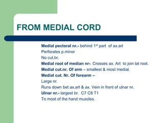 FROM MEDIAL CORD
Medial pectoral nr.- behind 1st part of ax.art
Perforates p.minor
No cut.br.
Medial root of median nr-. Crosses ax. Art to join lat root.
Medial cut.nr. Of arm – smallest & most medial.
Medial cut. Nr. Of forearm –
Large nr.
Runs down bet ax.art & ax. Vein in front of ulnar nr.
Ulnar nr.- largest br. C7 C8 T1
To most of the hand muscles.
 