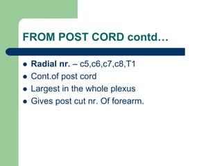 FROM POST CORD contd…
 Radial nr. – c5,c6,c7,c8,T1
 Cont.of post cord
 Largest in the whole plexus
 Gives post cut nr. Of forearm.
 