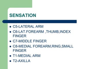 SENSATION
 C5-LATERAL ARM
 C6-LAT.FOREARM ,THUMB,INDEX
FINGER
 C7-MIDDLE FINGER
 C8-MEDIAL FOREARM,RING,SMALL
FINGER
 T1-MEDIAL ARM
 T2-AXILLA
 