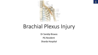 Brachial Plexus Injury
Dr Sandip Biswas
PG Resident
Sharda Hospital
 