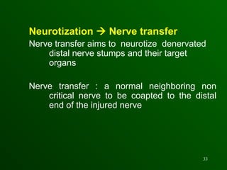 brachial plexus injury management ortho.ppt