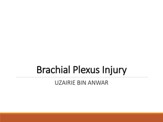 Brachial Plexus Injury
UZAIRIE BIN ANWAR
 
