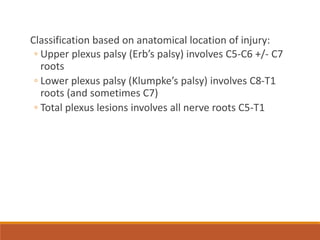 Classification based on anatomical location of injury:
◦ Upper plexus palsy (Erb’s palsy) involves C5-C6 +/- C7
roots
◦ Lower plexus palsy (Klumpke’s palsy) involves C8-T1
roots (and sometimes C7)
◦ Total plexus lesions involves all nerve roots C5-T1
 
