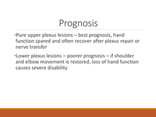 Prognosis
•Pure upper plexus lesions – best prognosis, hand
function spared and often recover after plexus repair or
nerve transfer
•Lower plexus lesions – poorer prognosis – if shoulder
and elbow movement is restored, loss of hand function
causes severe disability
 