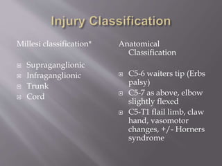 Brachial plexus anatomy, diagnosis and orthopaedic treatment | PPTX