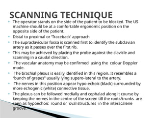 Plexus Machine BRACHIAL PLEXUS and its branches divisions and innervation | PPTX