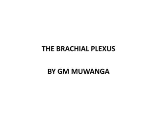 THE BRACHIAL PLEXUS
BY GM MUWANGA
 