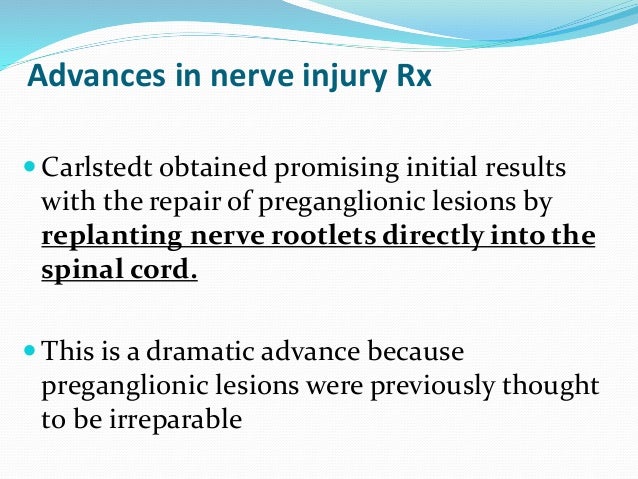 Brachial plexus seminar dr saumya agarwal
