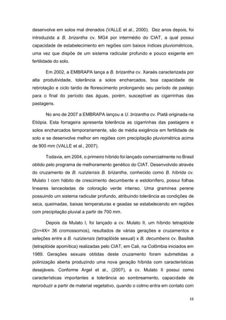 16
desenvolve em solos mal drenados (VALLE et al., 2000). Dez anos depois, foi
introduzida a B. brizantha cv. MG4 por intermédio do CIAT, a qual possui
capacidade de estabelecimento em regiões com baixos índices pluviométricos,
uma vez que dispõe de um sistema radicular profundo e pouco exigente em
fertilidade do solo.
Em 2002, a EMBRAPA lança a B. brizantha cv. Xaraés caracterizada por
alta produtividade, tolerância a solos encharcados, boa capacidade de
rebrotação e ciclo tardio de florescimento prolongando seu período de pastejo
para o final do período das águas, porém, susceptível as cigarrinhas das
pastagens.
No ano de 2007 a EMBRAPA lançou a U. brizantha cv. Piatã originada na
Etiópia. Esta forrageira apresenta tolerância as cigarrinhas das pastagens e
solos encharcados temporariamente, são de média exigência em fertilidade de
solo e se desenvolve melhor em regiões com precipitação pluviométrica acima
de 900 mm (VALLE et al., 2007).
Todavia, em 2004, o primeiro híbrido foi lançado comercialmente no Brasil
obtido pelo programa de melhoramento genético do CIAT. Desenvolvido através
do cruzamento de B. ruziziensis B. brizantha, conhecido como B. híbrida cv.
Mulato I com hábito de crescimento decumbente e estolonífero, possui folhas
lineares lanceoladas de coloração verde intenso. Uma gramínea perene
possuindo um sistema radicular profundo, atribuindo tolerância as condições de
seca, queimadas, baixas temperaturas e geadas se estabelecendo em regiões
com precipitação pluvial a partir de 700 mm.
Depois da Mulato I, foi lançado a cv. Mulato II, um híbrido tetraplóide
(2n=4X= 36 cromossomos), resultados de várias gerações e cruzamentos e
seleções entre a B. ruziziensis (tetraplóide sexual) x B. decumbens cv. Basilisk
(tetraplóide apomítica) realizadas pelo CIAT, em Cali, na Colômbia iniciados em
1989. Gerações sexuais obtidas deste cruzamento foram submetidas a
polinização aberta produzindo uma nova geração híbrida com características
desejáveis. Conforme Argel et al., (2007), a cv. Mulato II possui como
características importantes a tolerância ao sombreamento, capacidade de
reproduzir a partir de material vegetativo, quando o colmo entra em contato com
 