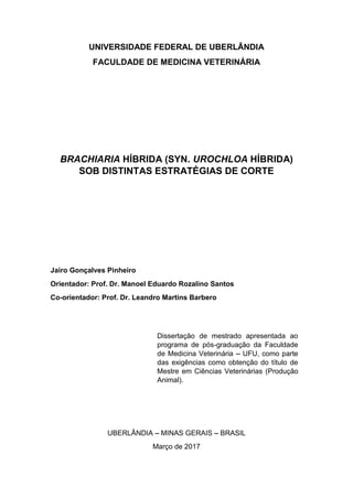 2
UNIVERSIDADE FEDERAL DE UBERLÂNDIA
FACULDADE DE MEDICINA VETERINÁRIA
BRACHIARIA HÍBRIDA (SYN. UROCHLOA HÍBRIDA)
SOB DISTINTAS ESTRATÉGIAS DE CORTE
Jairo Gonçalves Pinheiro
Orientador: Prof. Dr. Manoel Eduardo Rozalino Santos
Co-orientador: Prof. Dr. Leandro Martins Barbero
UBERLÂNDIA MINAS GERAIS BRASIL
Março de 2017
Dissertação de mestrado apresentada ao
programa de pós-graduação da Faculdade
de Medicina Veterinária UFU, como parte
das exigências como obtenção do título de
Mestre em Ciências Veterinárias (Produção
Animal).
 