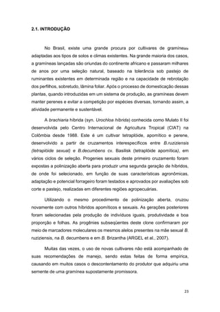 23
2.1. INTRODUÇÃO
No Brasil, existe uma grande procura por cultivares de gramíneas
adaptadas aos tipos de solos e climas existentes. Na grande maioria dos casos,
a gramíneas lançadas são oriundas do continente africano e passaram milhares
de anos por uma seleção natural, baseado na tolerância sob pastejo de
ruminantes existentes em determinada região e na capacidade de rebrotação
dos perfilhos, sobretudo, lâmina foliar. Após o processo de domesticação dessas
plantas, quando introduzidas em um sistema de produção, as gramíneas devem
manter perenes e evitar a competição por espécies diversas, tornando assim, a
atividade permanente e sustentável.
A brachiaria híbrida (syn. Urochloa híbrida) conhecida como Mulato II foi
desenvolvida pelo Centro Internacional de Agricultura Tropical (CIAT) na
Colômbia desde 1988. Este é um cultivar tetraplóide, apomítico e perene,
desenvolvido a partir de cruzamentos interespecíficos entre B.ruziziensis
(tetraplóide sexual) e B.decumbens cv. Basilisk (tetraplóide apomítica), em
vários ciclos de seleção. Progenies sexuais deste primeiro cruzamento foram
expostas a polinização aberta para produzir uma segunda geração de híbridos,
de onde foi selecionado, em função de suas características agronômicas,
adaptação e potencial forrageiro foram testados e aprovados por avaliações sob
corte e pastejo, realizadas em diferentes regiões agropecuárias.
Utilizando o mesmo procedimento de polinização aberta, cruzou
novamente com outros híbridos apomíticos e sexuais. As gerações posteriores
foram selecionadas pela produção de indivíduos iguais, produtividade e boa
proporção e folhas. As progênies subseqüentes deste clone confirmaram por
meio de marcadores moleculares os mesmos alelos presentes na mãe sexual B.
ruziziensis, na B. decumbens e em B. Brizantha (ARGEL et al., 2007).
Muitas das vezes, o uso de novas cultivares não está acompanhado de
suas recomendações de manejo, sendo estas feitas de forma empírica,
causando em muitos casos o descontentamento do produtor que adquiriu uma
semente de uma gramínea supostamente promissora.
 