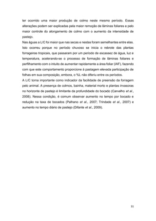 31
ter ocorrido uma maior produção de colmo neste mesmo período. Essas
alterações podem ser explicadas pela maior remoção de lâminas foliares e pelo
maior controle do alongamento de colmo com o aumento da intensidade de
pastejo.
Nas águas a L/C foi maior que nas secas e nestas foram semelhantes entre elas.
Isto ocorreu porque no período chuvoso se inicia o rebrote das plantas
forrageiras tropicais, que passaram por um período de escassez de água, luz e
temperatura, acelerando-se o processo de formação de lâminas foliares e
perfilhamento com o intuito de aumentar rapidamente a área foliar (IAF), fazendo
com que este comportamento proporcione à pastagem elevada participação de
folhas em sua composição, embora, o %L não diferiu entre os períodos.
A L/C torna importante como indicador da facilidade de preensão da forragem
pelo animal. A presença de colmos, bainha, material morto e plantas invasoras
no horizonte de pastejo é limitante da profundidade do bocado (Carvalho et al.,
2008). Nessa condição, é comum observar aumento no tempo por bocado e
redução na taxa de bocados (Palhano et al., 2007; Trindade et al., 2007) e
aumento no tempo diário de pastejo (Difante et al., 2009).
 