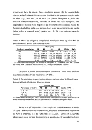 66
crescimento livre da planta. Estes resultados podem não ter apresentado
diferença significativa devido ao período de diferimento, que para o capim pode
ter sido longo, uma vez que se sabe que plantas forrageiras tropicais não
crescem indiscriminadamente, havendo um limite para cada forrageira. Era
esperado que a altura inicial do período de diferimento influenciasse a massa de
forragem total obtida após esse período, bem como os componentes da planta
(folha, colmo e material morto), porém isso não foi observado no presente
trabalho.
Tabela 4- Massa de forragem e componentes morfológicos finais (kg.ha-1
de MS) da
brachiaria híbrida diferida com diferentes alturas
Altura (cm)
Parâmetro avaliativo 10 20 30 40 Média CV%
MF 8629 10510 10948 11734 10455,25 35,97
ML 3661,60 3784,20 4258,50 4804,40 4127,17 39,98
MC 4286,30 5147,60 5639,60 5768,80 5210,57 29,11
MM 681,90 1578,90 1050,20 1161,20 1118,05 67,76
L/C 0,85 0,74 0,76 0,84 0,800 41,22
CV: coeficiente de variação. MF: Massa de forragem. ML: Massa de folha. MC: Massa
de colmo. MM: Massa de material morto. L/C: relação entre folha e colmo.
Os valores nutritivos dos componentes conforme a Tabela 5 não diferiram
significativamente entre os tratamentos (P>0,05).
Tabela 5- Características de valor nutritivo obtidas a partir da coleta de 60 perfilhos de
Brachiaria híbrida diferida com diferentes alturas
Alturas (cm)
Parâmetro avaliativo 10 20 30 40 Média CV%
FDN (%) 65,2 70,36 67,69 70,26 68,37 22,1
FDA (%) 37,1 41,05 39,23 33,01 37,59 15,3
PB (%) 8,01 6,89 8,24 7,79 7,73 41,8
CV: coeficiente de variação. PB%: Percentual de Proteína Bruta. FDN%: Percentual de
Fibra em Detergente Neutro. FDA%: percentual de Fibra em Detergente Ácido.
Santos et al. (2011) avaliando a adubação em brachiaria decumbens com
de 4,9% e encontrou teor de FDN médio de 77,66%. Santos et al. (2010b)
observaram que o período de diferimento e a adubação nitrogenada interferem
 