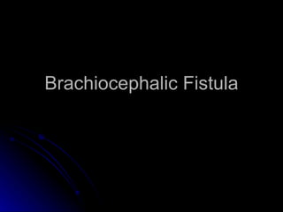 Brachiocephalic Fistula 