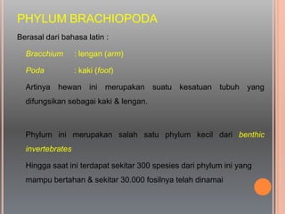 PHYLUM BRACHIOPODA
Berasal dari bahasa latin :
Bracchium : lengan (arm)
Poda : kaki (foot)
Artinya hewan ini merupakan suatu kesatuan tubuh yang
difungsikan sebagai kaki & lengan.
Phylum ini merupakan salah satu phylum kecil dari benthic
invertebrates
Hingga saat ini terdapat sekitar 300 spesies dari phylum ini yang
mampu bertahan & sekitar 30.000 fosilnya telah dinamai
 