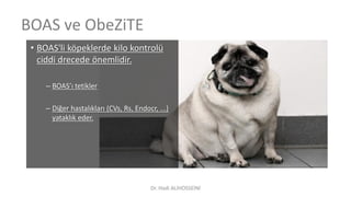BOAS ve ObeZiTE
• BOAS'li köpeklerde kilo kontrolü
ciddi drecede önemlidir.
– BOAS’ı tetikler
– Diğer hastalıkları (CVs, Rs, Endocr, ...)
yataklık eder.
Dr. Hadi ALİHOSSEİNİ
 