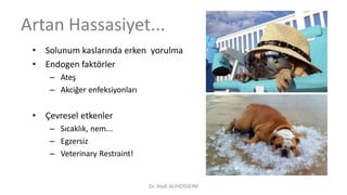 Artan Hassasiyet...
• Solunum kaslarında erken yorulma
• Endogen faktörler
– Ateş
– Akciğer enfeksiyonları
• Çevresel etkenler
– Sıcaklık, nem...
– Egzersiz
– Veterinary Restraint!
Dr. Hadi ALİHOSSEİNİ
 