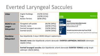 Everted Laryngeal Saccules
Irklar English Bulldogs (55/90 [61%])
Pugs (19/90 [21%])
Boston Terriers (8/90 [9%])
BOAS‘ın en
yaygın
bileşenleri
Elongated soft palate (85/90 [94%])
Stenotic nares (69/90 [77%])
Everted laryngeal saccules (59/90 [66%])
Everted tonsils (50/90 [56%])
Kombine
bileşenleri
Bazı köpeklerde 3 veya 4 BOAS bileşeni saptanmıştır.
Stenotic nares olan köpeklerde anlamlı derecede EVERTED LARYNGEAL SACCULES izlenmiştir
(50/69 [72%]).
Everted laryngeal saccules olan köpeklerde anlamlı derecede EVERTED TONSILS varlığı tespit
edilmiştir (39/59 [66%]).
Dr. Hadi ALİHOSSEİNİ
 