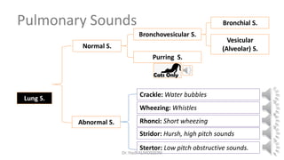 Pulmonary Sounds
Lung S.
Normal S.
Abnormal S.
Bronchovesicular S.
Purring S.
Bronchial S.
Vesicular
(Alveolar) S.
Crackle: Water bubbles
Wheezing: Whistles
Rhonci: Short wheezing
Stridor: Hursh, high pitch sounds
Stertor: Low pitch obstructive sounds.
Dr. Hadi ALİHOSSEİNİ
 