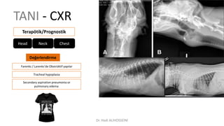 TANI - CXR
Terapötik/Prognostik
Farenks / Larenks’de Obstrüktif yapılar
Head Neck Chest
Değerlendirme
Tracheal hypoplasia
Secondary aspiration pneumonia or
pulmonary edema
Dr. Hadi ALİHOSSEİNİ
 