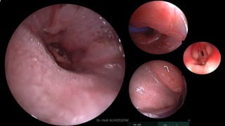 Dr. Hadi ALİHOSSEİNİ
 