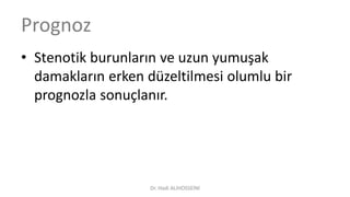 Prognoz
• Stenotik burunların ve uzun yumuşak
damakların erken düzeltilmesi olumlu bir
prognozla sonuçlanır.
Dr. Hadi ALİHOSSEİNİ
 