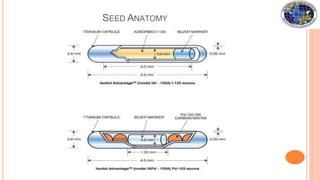 SEED ANATOMY
 