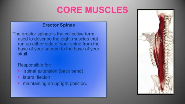 BRACING THE CORE PPT.ppt