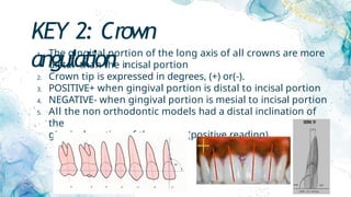 KEY 2: Crown
angulation :
1. The gingival portion of the long axis of all crowns are more
distal than the incisal portion
2. Crown tip is expressed in degrees, (+) or(-).
3. POSITIVE+ when gingival portion is distal to incisal portion
4. NEGATIVE- when gingival portion is mesial to incisal portion
5. All the non orthodontic models had a distal inclination of
the
gingival portion of the crown.(positive reading)
 