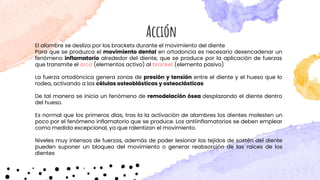 El alambre se desliza por los brackets durante el movimiento del diente
Para que se produzca el movimiento dental en ortodoncia es necesario desencadenar un
fenómeno inflamatorio alrededor del diente, que se produce por la aplicación de fuerzas
que transmite el arco (elementos activo) al bracket (elemento pasivo)
La fuerza ortodóncica genera zonas de presión y tensión entre el diente y el hueso que lo
rodea, activando a las células osteoblásticas y osteoclásticas
De tal manera se inicia un fenómeno de remodelación ósea desplazando el diente dentro
del hueso.
Es normal que los primeros días, tras la la activación de alambres los dientes molesten un
poco por el fenómeno inflamatorio que se produce. Los antiinflamatorios se deben emplear
como medida excepcional, ya que ralentizan el movimiento.
Niveles muy intensos de fuerzas, además de poder lesionar los tejidos de sostén del diente
pueden suponer un bloqueo del movimiento o generar reabsorción de las raíces de los
dientes
Acción
 
