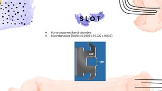 ● Ranura que recibe al alambre
● Estandarizada (0.018 x 0.030) o (0.022 x 0.030)
S L O T
 