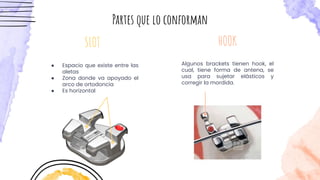 ● Espacio que existe entre las
aletas
● Zona donde va apoyado el
arco de ortodoncia
● Es horizontal
HOOK
SLOT
Partes que lo conforman
Algunos brackets tienen hook, el
cual, tiene forma de antena, se
usa para sujetar elásticos y
corregir la mordida.
 