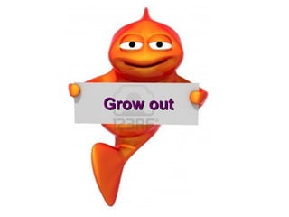 Grow out
 