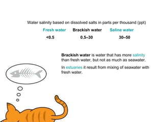 Water salinity based on dissolved salts in parts per thousand (ppt)
        Fresh water      Brackish water        Saline water
          <0.5                0.5–30                30–50



                   Brackish water is water that has more salinity
                   than fresh water, but not as much as seawater.
                   In estuaries it result from mixing of seawater with
                   fresh water.
 