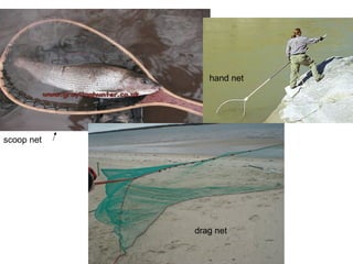 hand net




scoop net




            drag net
 