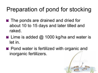Preparation of pond for stocking
 The ponds are drained and dried for
 about 10 to 15 days and later tilled and
 raked.
 Lime is added @ 1000 kg/ha and water is
 let in.
 Pond water is fertilized with organic and
 inorganic fertilizers.
 