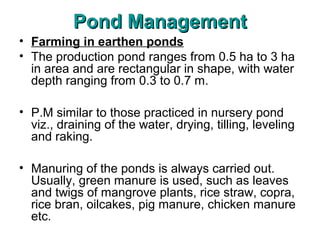 Pond Management
• Farming in earthen ponds
• The production pond ranges from 0.5 ha to 3 ha
  in area and are rectangular in shape, with water
  depth ranging from 0.3 to 0.7 m.

• P.M similar to those practiced in nursery pond
  viz., draining of the water, drying, tilling, leveling
  and raking.

• Manuring of the ponds is always carried out.
  Usually, green manure is used, such as leaves
  and twigs of mangrove plants, rice straw, copra,
  rice bran, oilcakes, pig manure, chicken manure
  etc.
 