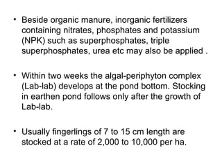 • Beside organic manure, inorganic fertilizers
  containing nitrates, phosphates and potassium
  (NPK) such as superphosphates, triple
  superphosphates, urea etc may also be applied .

• Within two weeks the algal-periphyton complex
  (Lab-lab) develops at the pond bottom. Stocking
  in earthen pond follows only after the growth of
  Lab-lab.

• Usually fingerlings of 7 to 15 cm length are
  stocked at a rate of 2,000 to 10,000 per ha.
 