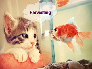 Harvesting
 