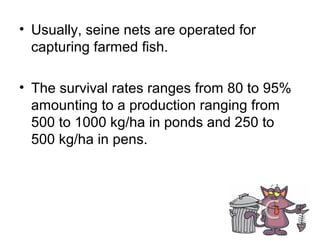 • Usually, seine nets are operated for
  capturing farmed fish.

• The survival rates ranges from 80 to 95%
  amounting to a production ranging from
  500 to 1000 kg/ha in ponds and 250 to
  500 kg/ha in pens.
 