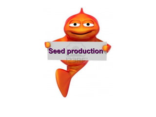 Seed production
 
