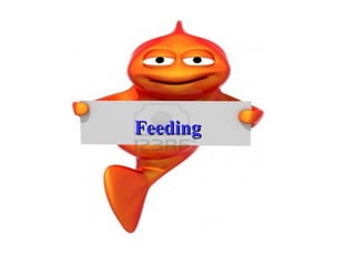 Feeding
 