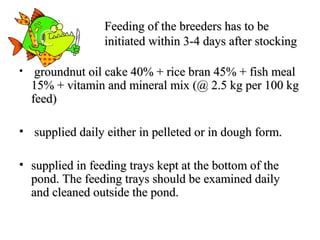 Feeding of the breeders has to be
• .              initiated within 3-4 days after stocking

•    groundnut oil cake 40% + rice bran 45% + fish meal
    15% + vitamin and mineral mix (@ 2.5 kg per 100 kg
    feed)

• supplied daily either in pelleted or in dough form.

• supplied in feeding trays kept at the bottom of the
  pond. The feeding trays should be examined daily
  and cleaned outside the pond.
 