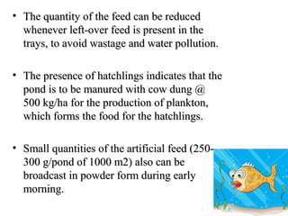 • The quantity of the feed can be reduced
  whenever left-over feed is present in the
  trays, to avoid wastage and water pollution.

• The presence of hatchlings indicates that the
  pond is to be manured with cow dung @
  500 kg/ha for the production of plankton,
  which forms the food for the hatchlings.

• Small quantities of the artificial feed (250-
  300 g/pond of 1000 m2) also can be
  broadcast in powder form during early
  morning.
 