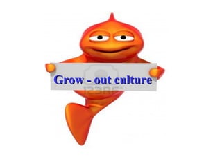 Grow - out culture
 