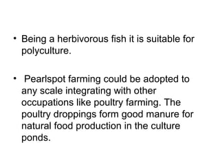 • Being a herbivorous fish it is suitable for
  polyculture.

• Pearlspot farming could be adopted to
  any scale integrating with other
  occupations like poultry farming. The
  poultry droppings form good manure for
  natural food production in the culture
  ponds.
 