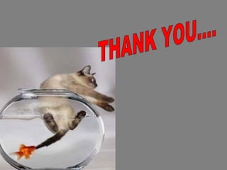 Brackish water aquaculture 007