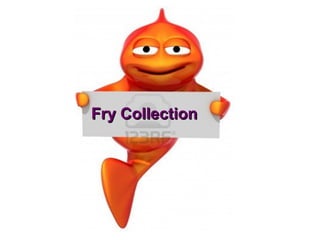 Fry Collection
 